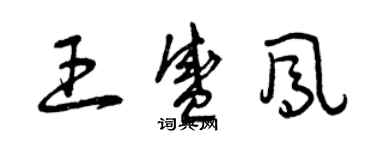 曾慶福王盛鳳草書個性簽名怎么寫