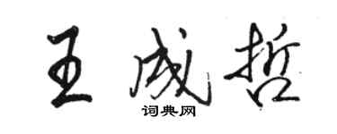 駱恆光王成哲行書個性簽名怎么寫