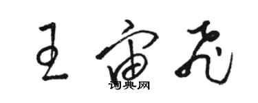 駱恆光王宙飛草書個性簽名怎么寫