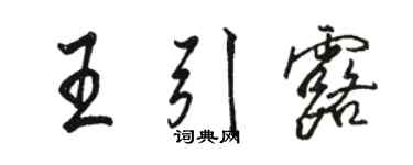 駱恆光王引露行書個性簽名怎么寫