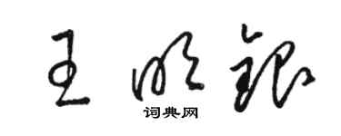 駱恆光王明銀草書個性簽名怎么寫