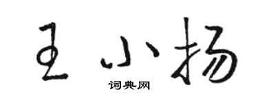 駱恆光王小揚草書個性簽名怎么寫