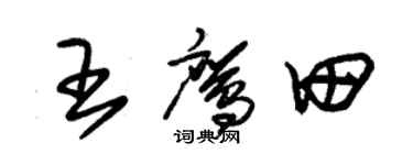 朱錫榮王鷹田草書個性簽名怎么寫