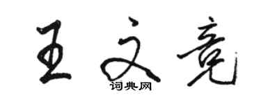 駱恆光王文競行書個性簽名怎么寫