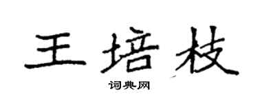 袁強王培枝楷書個性簽名怎么寫