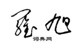 梁錦英羅旭草書個性簽名怎么寫