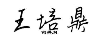 王正良王培鼎行書個性簽名怎么寫