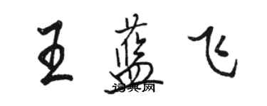 駱恆光王藍飛行書個性簽名怎么寫