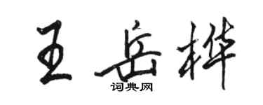 駱恆光王岳樺行書個性簽名怎么寫