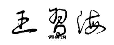 曾慶福王習海草書個性簽名怎么寫