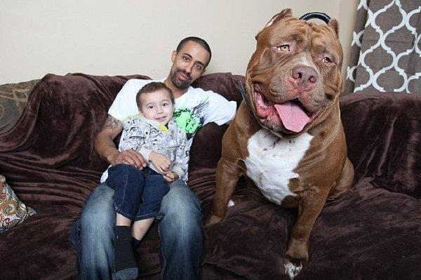 1215年9月23日忽必烈,蒙古大汗,元朝皇帝。_歷史上的今天