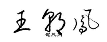 梁錦英王朝鳳草書個性簽名怎么寫