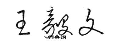 駱恆光王毅文草書個性簽名怎么寫