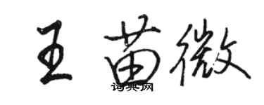 駱恆光王苗微行書個性簽名怎么寫