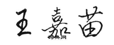 駱恆光王嘉苗行書個性簽名怎么寫