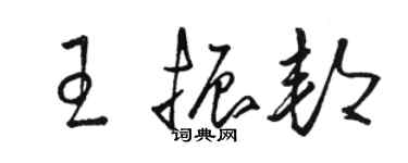 駱恆光王振邦草書個性簽名怎么寫
