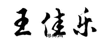 胡問遂王佳樂行書個性簽名怎么寫