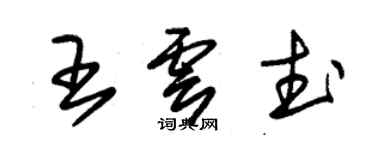 朱錫榮王雲武草書個性簽名怎么寫