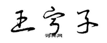 曾慶福王寧子草書個性簽名怎么寫