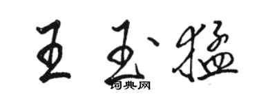 駱恆光王玉猛行書個性簽名怎么寫