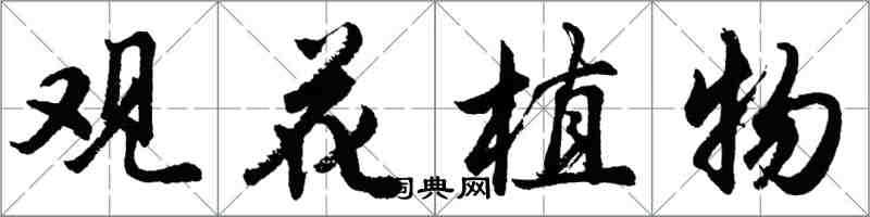 胡問遂觀花植物行書怎么寫