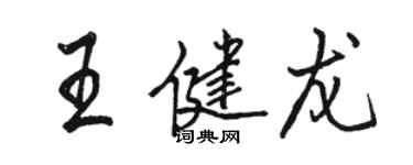 駱恆光王健龍行書個性簽名怎么寫