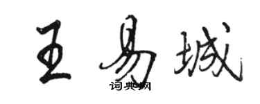 駱恆光王易城行書個性簽名怎么寫