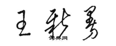 駱恆光王新曼草書個性簽名怎么寫