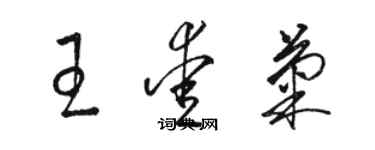 駱恆光王愛菊草書個性簽名怎么寫