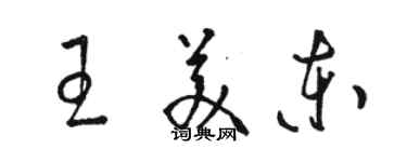 駱恆光王美東草書個性簽名怎么寫