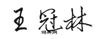 駱恆光王冠林行書個性簽名怎么寫