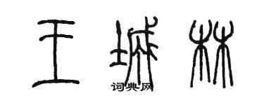 陳墨王城林篆書個性簽名怎么寫