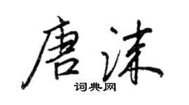 王正良唐沫行書個性簽名怎么寫
