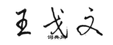 駱恆光王戈文行書個性簽名怎么寫