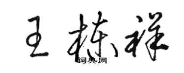 駱恆光王棟祥草書個性簽名怎么寫