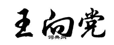 胡問遂王向黨行書個性簽名怎么寫