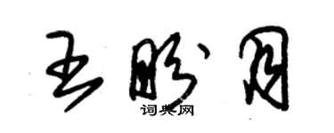 朱錫榮王盼月草書個性簽名怎么寫