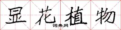 袁強顯花植物楷書怎么寫
