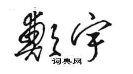 駱恆光鄭宇草書個性簽名怎么寫