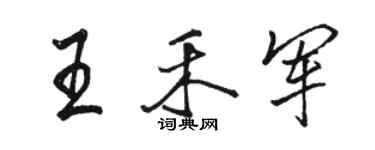 駱恆光王禾軍行書個性簽名怎么寫