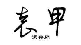 曾慶福袁甲草書個性簽名怎么寫