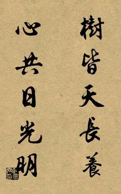 樹皆天長養; 心共日光明。怎么寫好看
