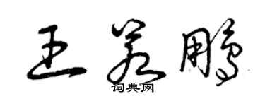 曾慶福王若鵬草書個性簽名怎么寫