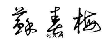 曾慶福蘇春梅草書個性簽名怎么寫