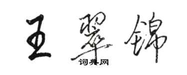 駱恆光王翠錦行書個性簽名怎么寫