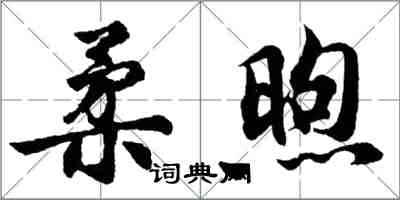 胡問遂柔煦行書怎么寫