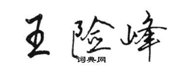 駱恆光王險峰行書個性簽名怎么寫