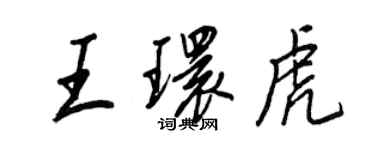 王正良王環虎行書個性簽名怎么寫
