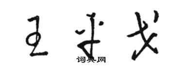 駱恆光王平戈草書個性簽名怎么寫