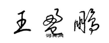 梁錦英王盈鵬草書個性簽名怎么寫